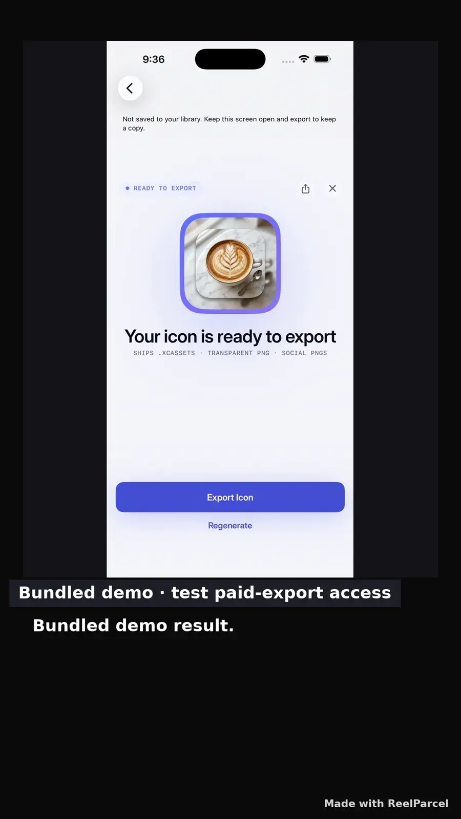 IconBundler product slide showing the bundled demo result screen